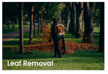 leaf-removal